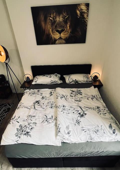 Apartment Wunderschoene City-wohnung Mit Gartennutzung Naehe Hbf